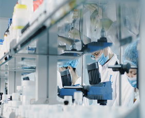 廣州蘿薇 次拋代加工廠 長(zhǎng)沙次拋代加工